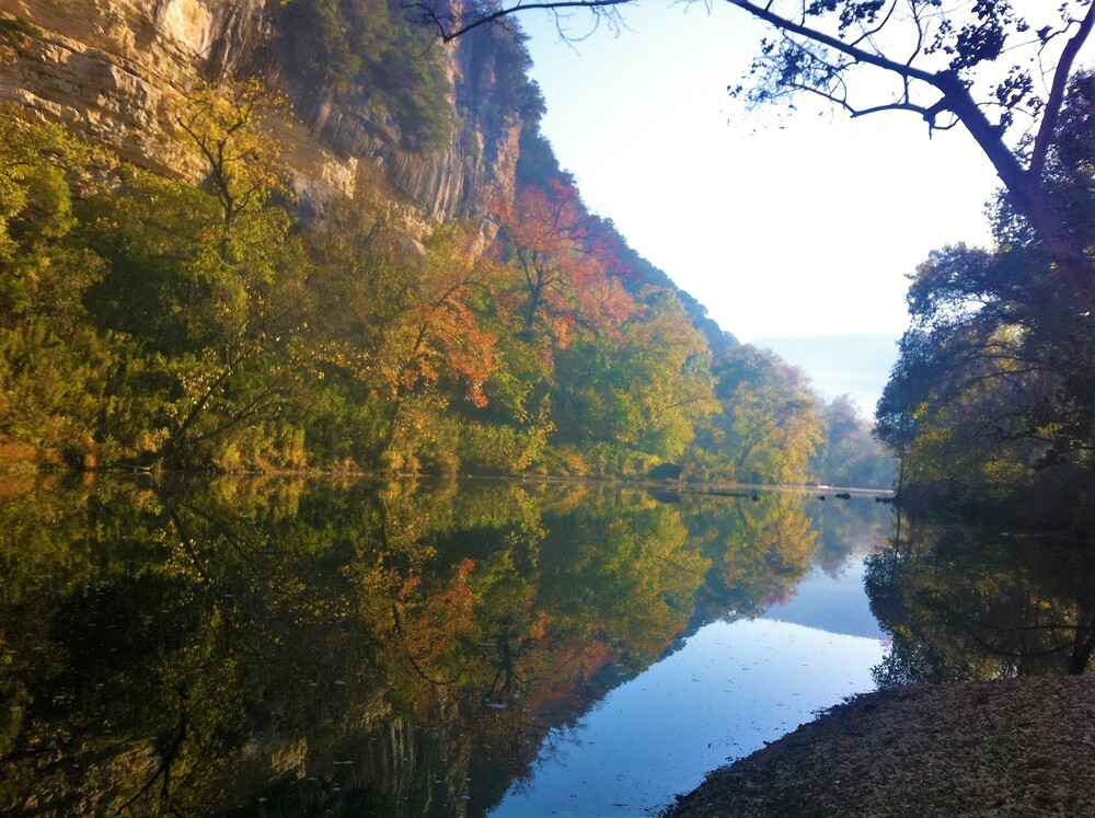River with rock bluff and fall trees