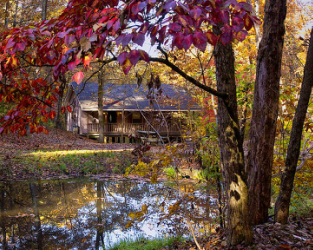 The Evening Star Lodge, exterior, with fall leaves and creek