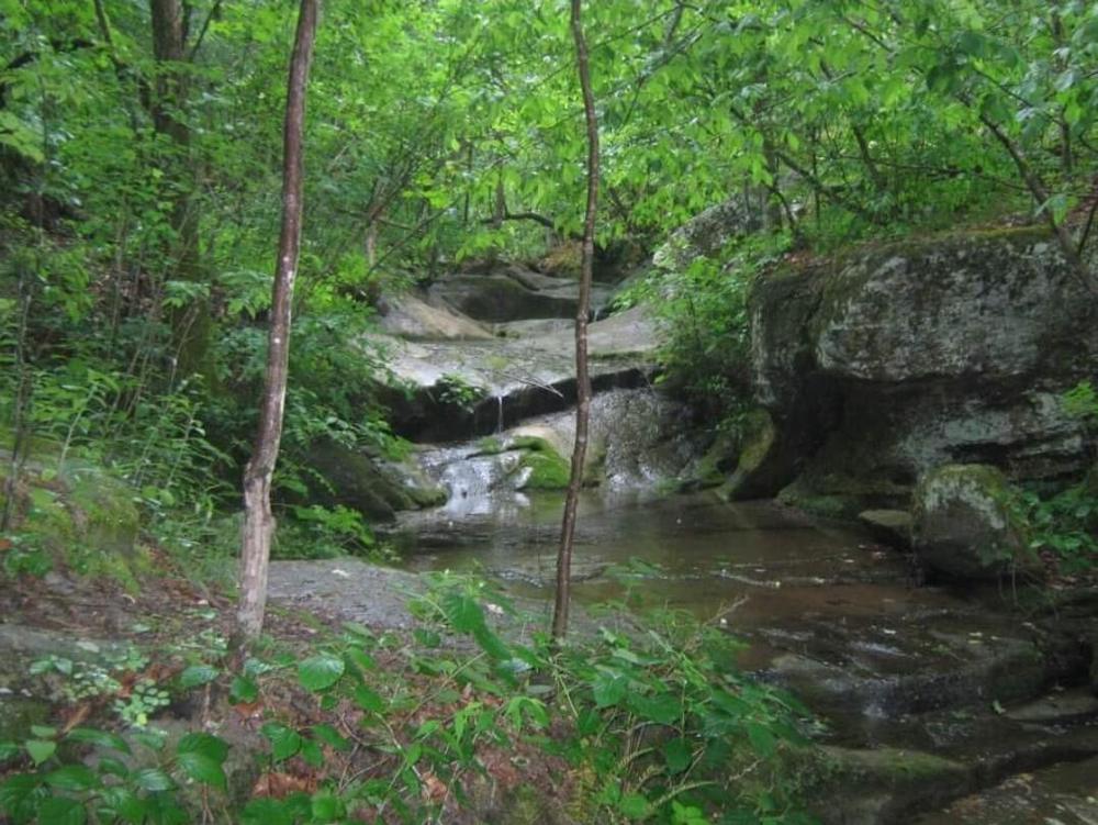 A mountain stream