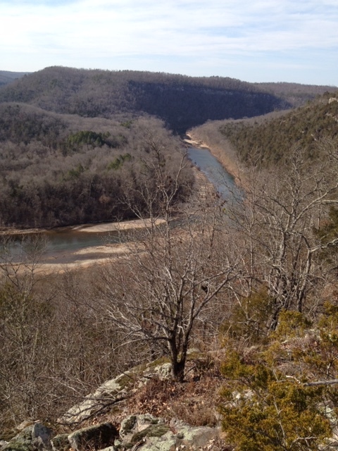 Overlook of water and trees.