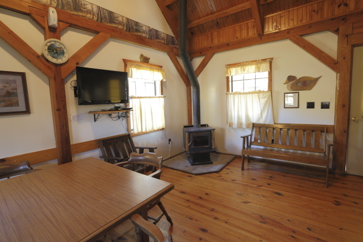 Living room and fireplace